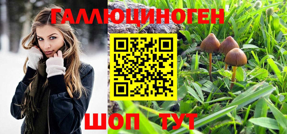 Псилоцибиновые грибы ЛСД  Вход с VPN  Псилоцибиновые грибы прущие грибы  Дятьково 