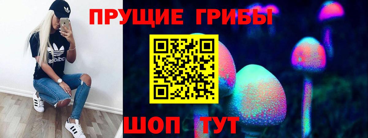 Псилоцибиновые грибы GOLDEN TEACHER Дятьково